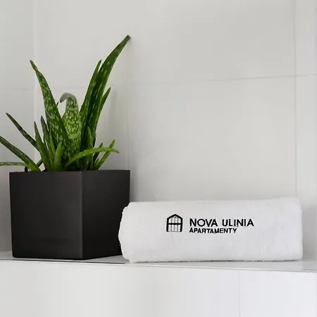 Nova Ulinia Dune Łeba